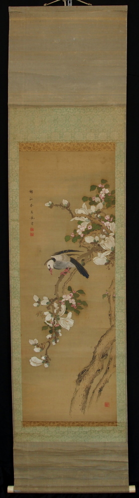 京都の掛軸専門店 古美術神宮堂 掛軸 彩色花鳥画